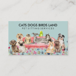 Green Soft Dog Cat Bird Hotel Sofa Huisdier Zitten Visitekaartje