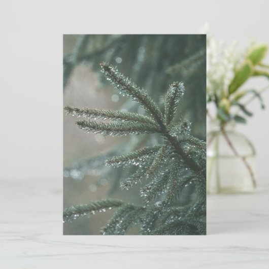 Green spruce tree close-up, Christmas esthetic Feestdagenkaart (Staand voorkant)