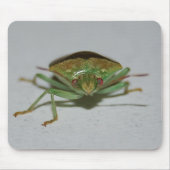 Green Stink Bug mousepad Muismat (Voorkant)