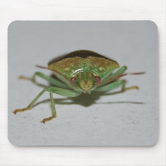 Green Stink Bug mousepad Muismat (Voorkant)