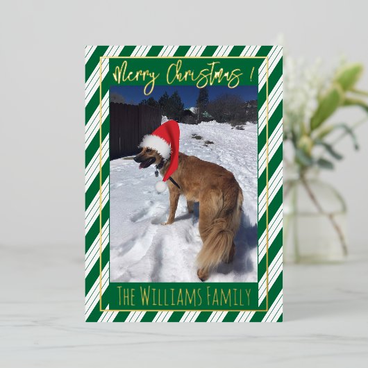 Green Stripes Single Dog Photo Foil Carte de vacan (Debout devant)