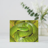 Green Struik Rat Snake Briefkaart (Staand voorkant)