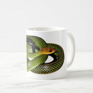 Green Struik Rat Snake Koffiemok