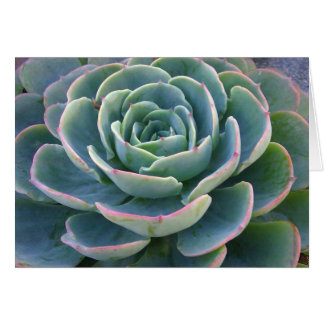 Green Succulent Card