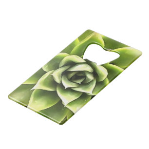 Green Succulent Close Cacti Art Kredietkaart Flessenopener