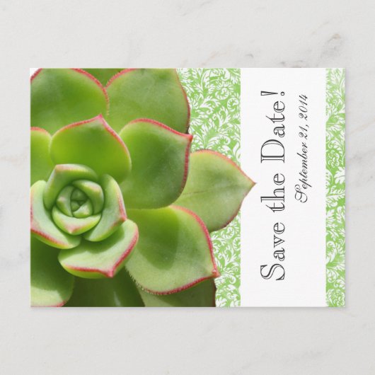 Green Succulent  Damask save the date Aankondigingskaart (Voorkant)