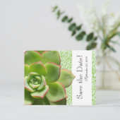 Green Succulent  Damask save the date Aankondigingskaart (Staand voorkant)