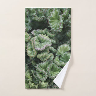 Green Succulent Handdoek