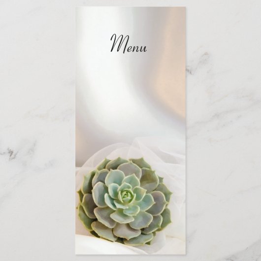 Green Succulent sur le menu Mariage blanc (Dos)