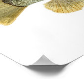 Green Sunfish Waterverf Studie Poster (Hoek)