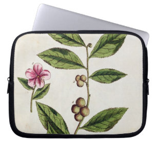 Green Tea, bord 351 uit 'A Curious Herbal', publ Laptop Sleeve