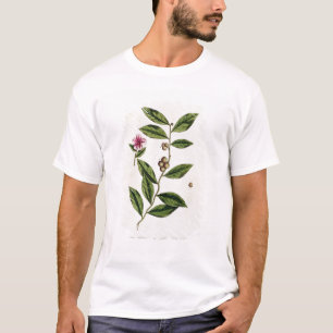 Green Tea, bord 351 uit 'A Curious Herbal', publ T-shirt