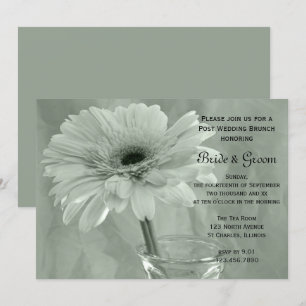 Green Tinted Daisy Post Wedding Brunch Kaart