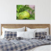 Green Tomato Canvas Afdruk (Insitu (Slaapkamer))