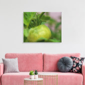 Green Tomato Canvas Afdruk (Insitu (Woonkamer))