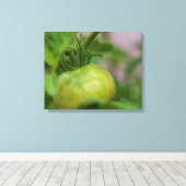 Green Tomato Canvas Afdruk (Insitu (Houten vloer))