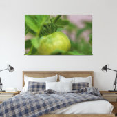 Green Tomato Canvas Afdruk (Insitu (Slaapkamer))
