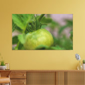 Green Tomato Canvas Afdruk (Insitu (Woonkamer))