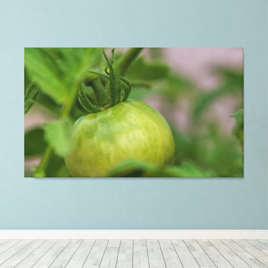 Green Tomato Canvas Afdruk (Insitu (Houten vloer))