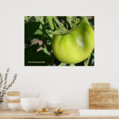 Green Tomato Poster (Keuken)