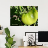 Green Tomato Poster (Thuiskantoor)