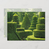 Green Topiary - Carte postale (Devant / Derrière)