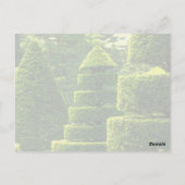 Green Topiary - Carte postale (Dos)