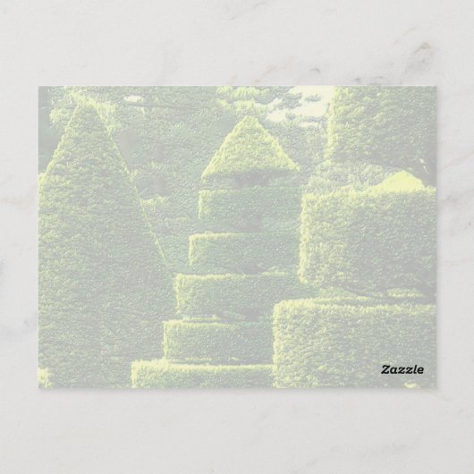 Green Topiary - Carte postale (Dos)