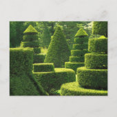 Green Topiary - Carte postale (Devant)