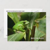 Green Tree Frog Post Card Briefkaart (Voorkant / Achterkant)