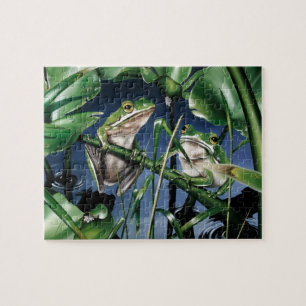 Green Tree Frog Puzzle Legpuzzel
