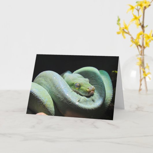 Green Tree Python - Carte de voeux de serpent (Fleur jaune)