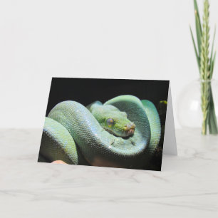 Green Tree Python - Snake Wenskaart Kaart