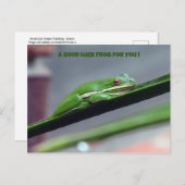 Green Treefrog Good Luck Briefkaart (Voorkant / Achterkant)