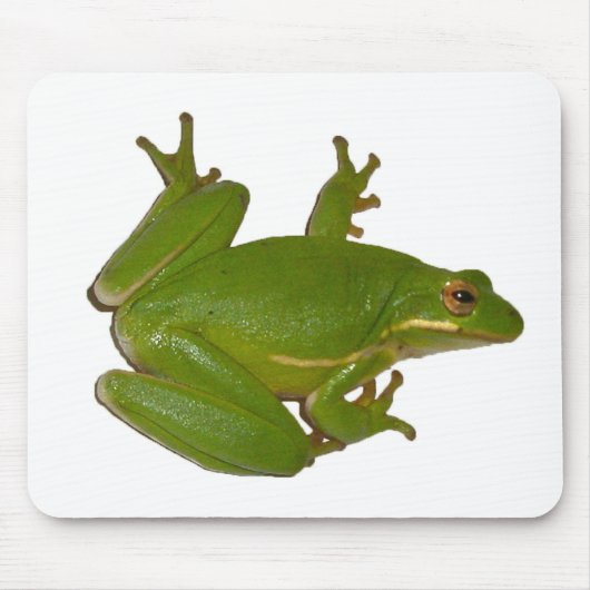 Green Treefrog Mousepad Muismat (Voorkant)