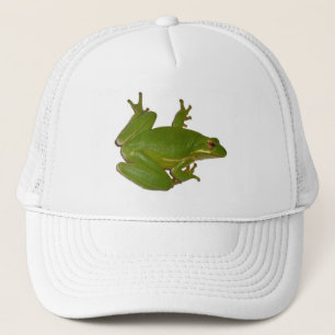 Green Treefrog Pet