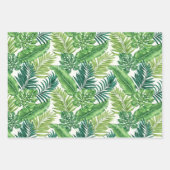 Green Tropical Palm Banana Monstera Feuille (Devant 3)