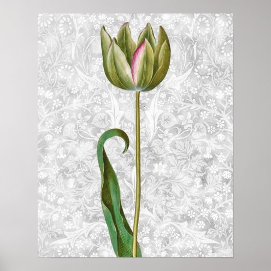 Green Tulip Bud Poster d'art rétro Vintage (Devant)