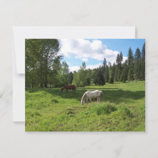 Green Valley Bijbel Verse-bemoedigingskaart Kaart (Voorkant)