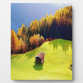 Green Valley Fotoplaat