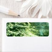 Green Verde Alpi Marble Etiket (Insitu)