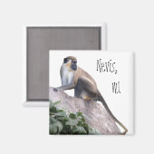 Green Vervet Monkey Magneet (Voorkant / Achterkant)