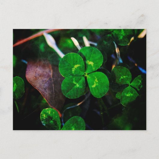 Green Vier Leaf Clover Lucky Briefkaart (Voorkant)