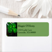 Green Vier Leaf Clover Lucky, speciaal aangepast Etiket (Insitu)