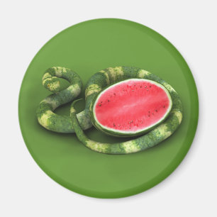 Green Watermelon Snake Magneet