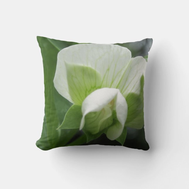Green & White Pillow ~ original high res foto Kussen (Voorkant)