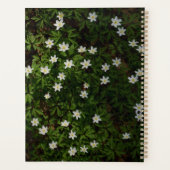 Green Woodland Dreams Planner (Dos)