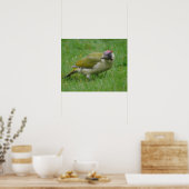 Green Woodpecker Poster (Keuken)
