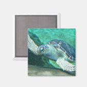 Green Zee Turtle Magnet Magneet (Voorkant / Achterkant)