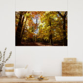 Greenbelt Park in de Herfst II Maryland Natuur Sce Poster (Keuken)